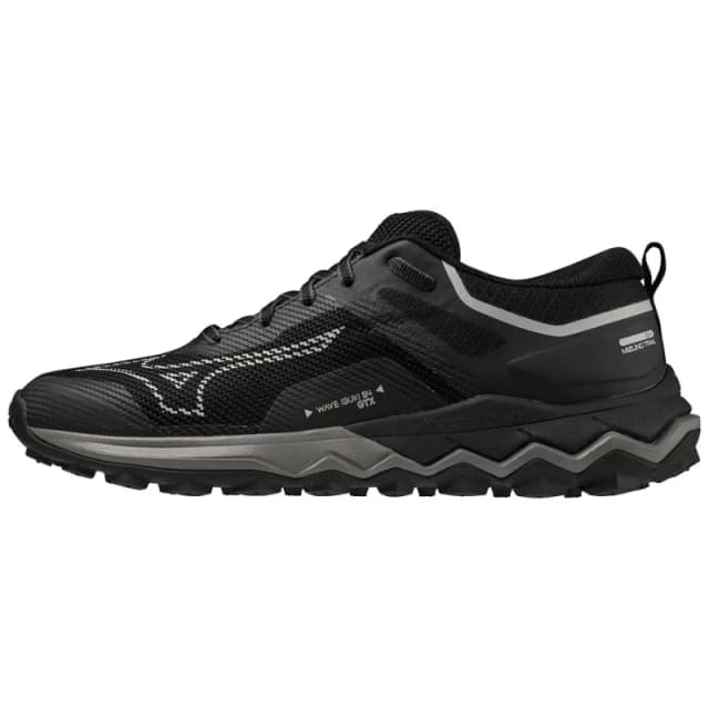 Running shoes Mizuno WAVE IBUKI 4 GTX Noir Male 37