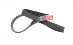 GATES Poly V-Belt DAIHATSU,LAND ROVER,BMW 5PK810 11284496457,64552247425,64557786170 Ribbed Belt,V Ribbed Belt,Multi V Belt,Poly Belt,V-Ribbed Belts