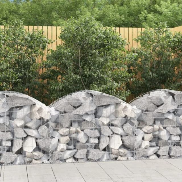VIDAXL Vidaxl - Arched Gabion Basket 100x50x60/80cm Galvanised Iron 8720845650964