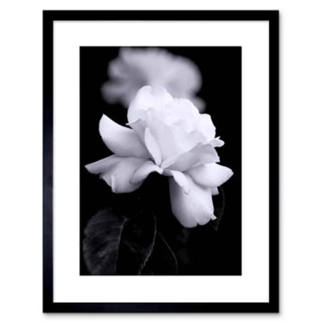 Artery8 Wall Art Print Photo Nature Black White Rose Petal Flower Artwork Framed 9X7 Inch