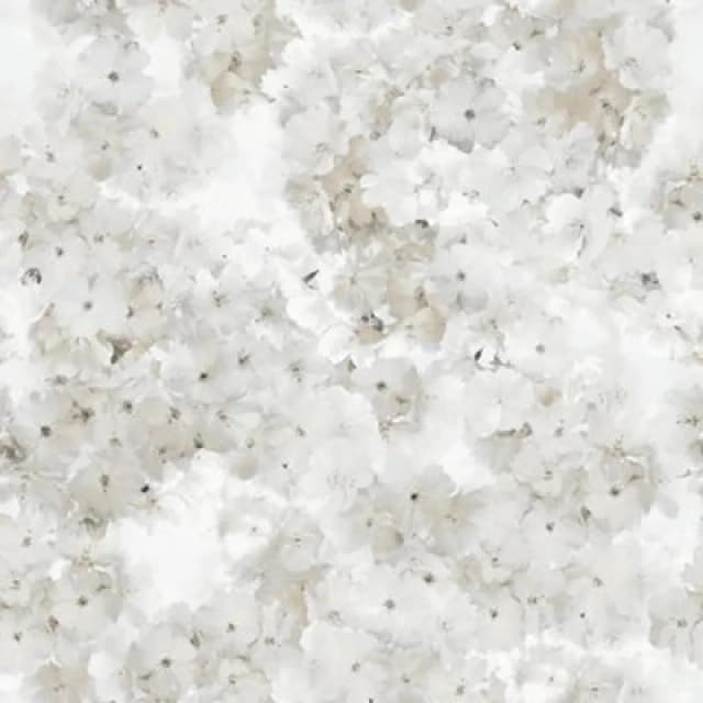 MURIVA Muriva - Apple Blossom Natural Wallpaper Floral Flowers Stylish Feature Wall WL-211502