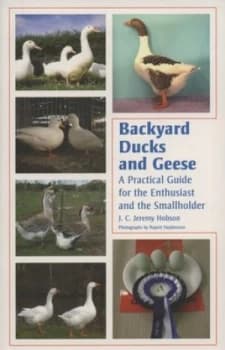 Backyard Ducks and Geese by J C Jeremy Hobson Paperback