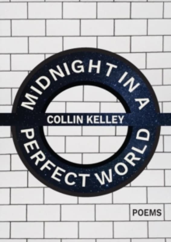 Midnight in a Perfect World Paperback / softback