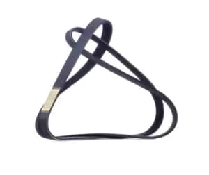 RIDEX V-ribbed belt 305P0287 Serpentine belt,Auxiliary belt VW,AUDI,FORD,GOLF VI (5K1),Transporter IV Bus (70B, 70C, 7DB, 7DK, 70J, 70K, 7DC, 7DJ)