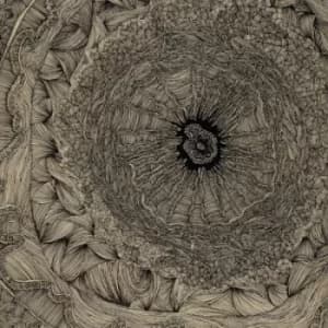 Appropriation Loops A Love Story by Bookworms Vinyl Album