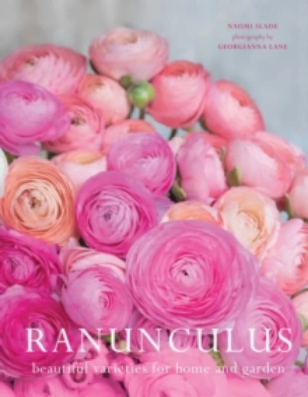 Ranuculus : Beautiful Varieties for Home and Garden Hardback