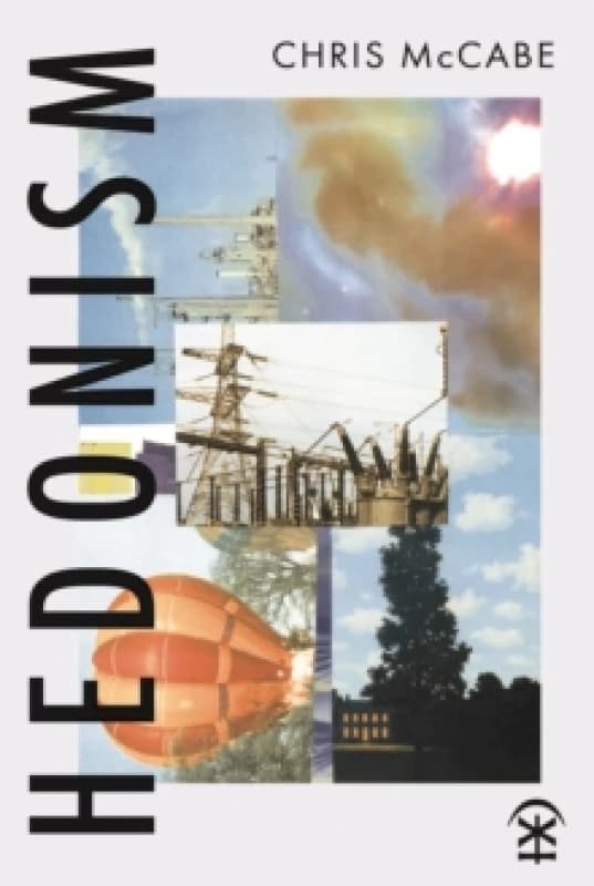 Hedonism Paperback / softback