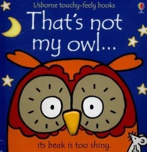 Thats Not My Owl ... by Fiona Watt Hardback