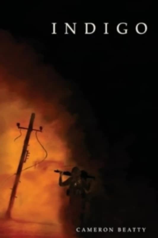 Indigo. Paperback. By Cameron Beatty Books