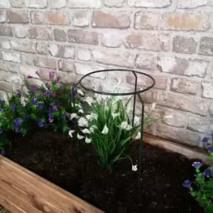 Tom Chambers Green Metal Herbaceous Garden Plant Support Ring Small