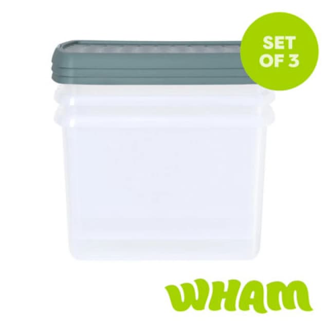 Wham Clip 3X 21.5L Rectangular Plastic Storage Boxes With Clip Lock Lids. Ideal For Home, Office, Toys & More - Clear/green Milieu