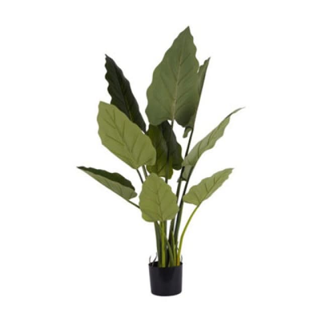 Buttercup Farm Faux Giant Tora Plant 3.3ft - Polyethylene Plastic - L75 X W85 X H100 Cm - Green