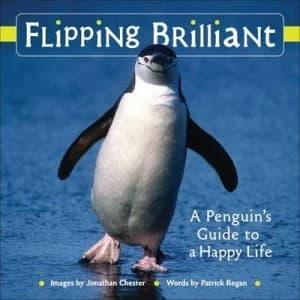 Flipping Brilliant by Jonathan Chester Hardback