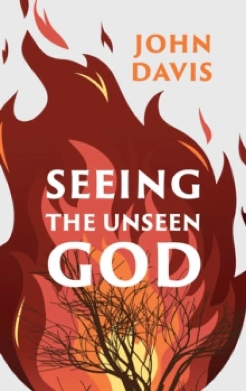 Seeing the Unseen God Paperback / softback