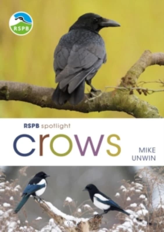 RSPB Spotlight Crows Paperback / softback