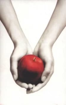 Twilight by Stephenie Meyer Paperback