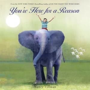 Youre here for a reason by Nancy Tillman