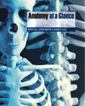 Anatomy at a Glance by Omar Faiz Paperback
