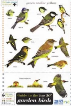 Guide to the Top 50 Garden Birds Paperback