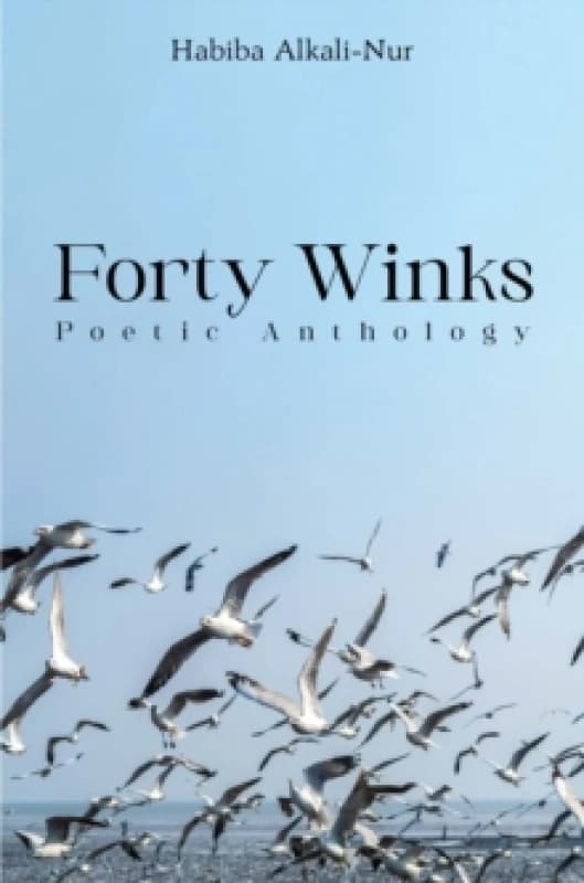 Forty Winks: Poetic Anthology Paperback / softback