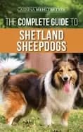 complete guide to shetland sheepdogs finding raising training feeding worki