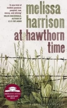 At Hawthorn Time by Melissa Harrison Paperback
