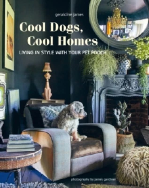 Cool Dogs, Cool Homes : Living in Style with Your Pet Pooch Hardback