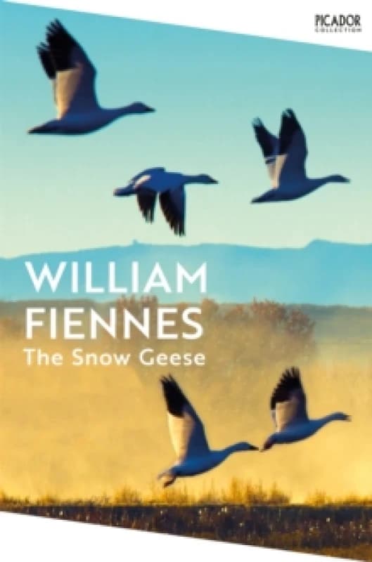 The Snow Geese. Paperback. By William Fiennes Books