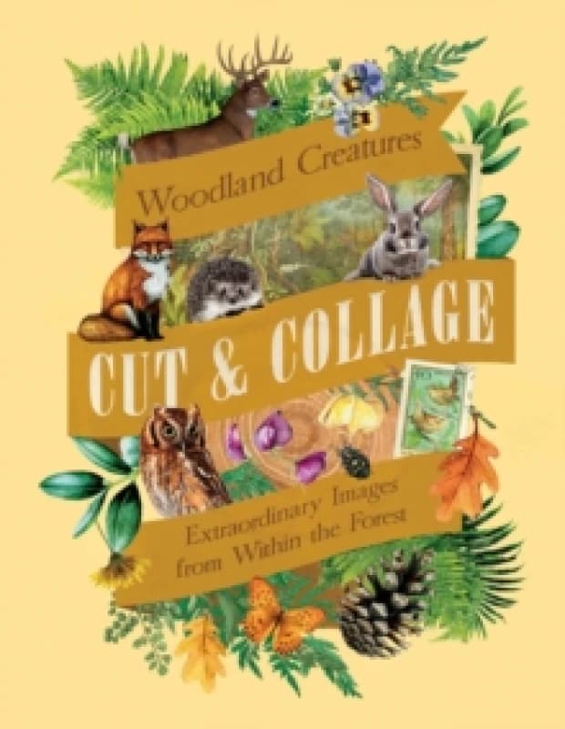 Cut & Collage Woodland Creatures : Extraordinary Images from Within the Forest Paperback / softback