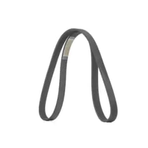 RIDEX V-ribbed belt 305P0407 Serpentine belt,Auxiliary belt PEUGEOT,CITROEN,DS,208 I Schragheck (CA_, CC_),308 SW I (4E_, 4H_),508 SW I (8E_)
