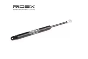RIDEX Tailgate strut CITROEN 219G0267 8731K8,9661815180