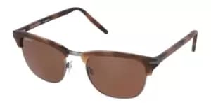 Serengeti Sunglasses Alray 8946