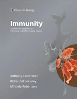 Immunity by Anthony Defranco Paperback
