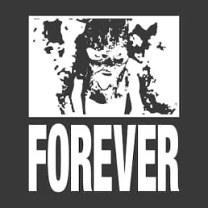 Coarse by Forever Vinyl Album