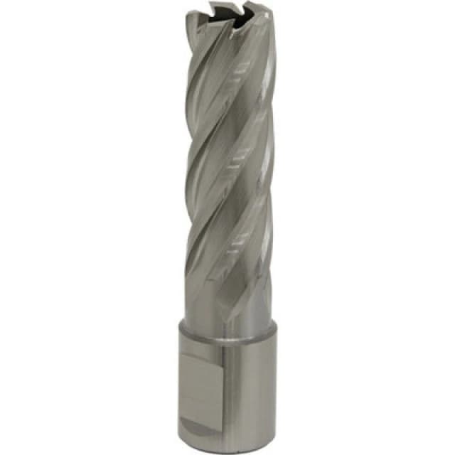 Loops 17mm x 50mm Depth Rotabor Cutter - M2 Steel Annular Metal Core Drill 19mm Shank Metallics