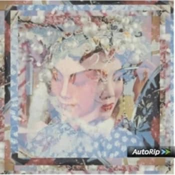 Dutch Uncles - Out of Touch In the Wild CD