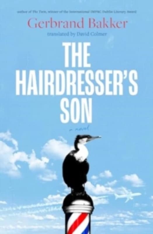 The Hairdressers Son Paperback / softback