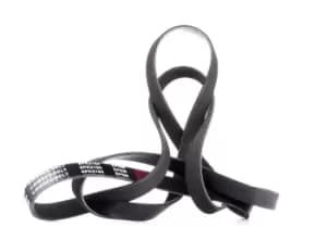 RIDEX V-ribbed belt 305P0162 Serpentine belt,Auxiliary belt MERCEDES-BENZ,BMW,HYUNDAI,C-Klasse Limousine (W202),C-Klasse T-modell (S202)