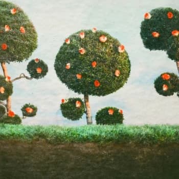 Midnight Sister - Painting The Roses Vinyl