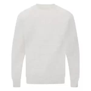 SG Mens Raglan Sleeve Crew Neck Sweatshirt (S) (Light Oxford)