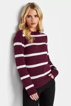 Petite Stripe Jumper