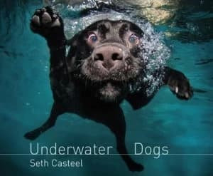 Underwater Dogs by Seth Casteel Hardback