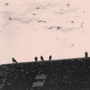 Arrhythmia - Stuart Staples CD