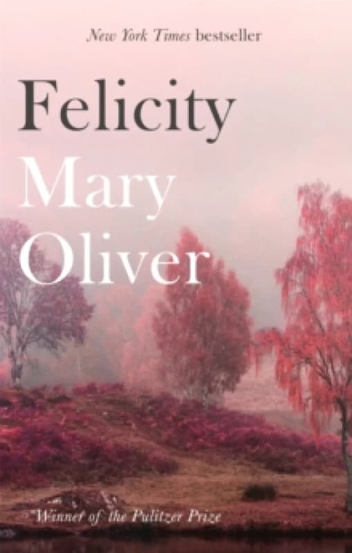 Felicity Paperback / softback