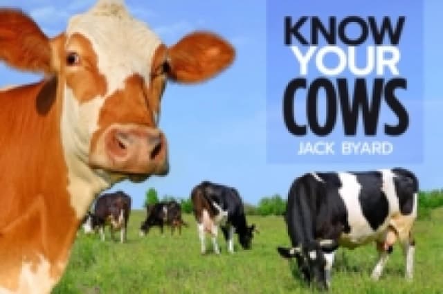 Know Your Cows Paperback / softback
