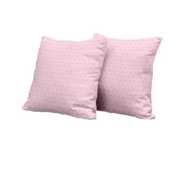 SCHUBERT/QUATUOR ALFAMA/CARRERE - Still Schubert CD