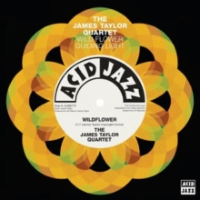 Wildflower/Guiding Light Vinyl