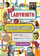 labyrinth of curiosities journey through hundreds of wild facts and fascina