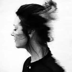 False by Tusks Vinyl Album