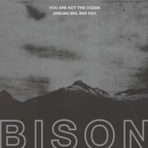 You Are Not the Ocean You Are the Patient by Bison CD Album